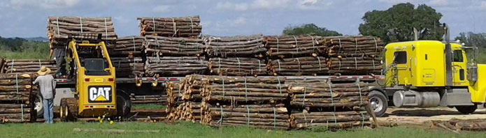 18 wheeler load of cedar posts heading south - 7' x 4" wire posts