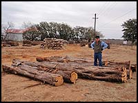 Haynes Cedar Yard - Amazing cedar milling logs up to 20' long!