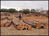 Need large cedar posts for your projects - Haynes Cedar Yard has them!