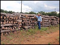 Do your cross fences with wire cedar posts - save money!  Haynes Cedar Yard has a good supply